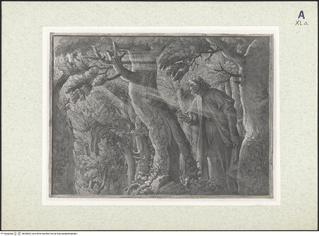 Vorderseite von bh356892_recto