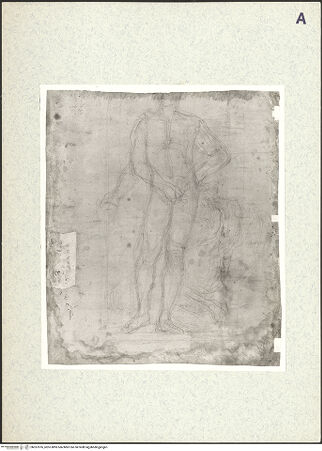 Vorderseite von bh357076_recto