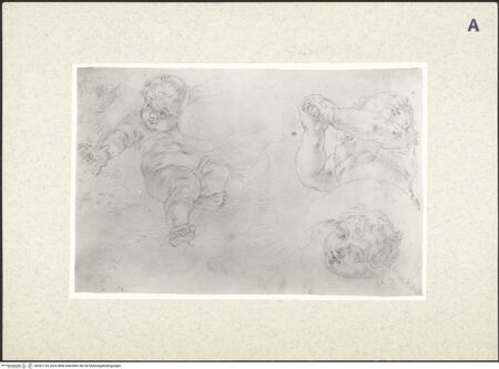 Vorderseite von bh357124_recto