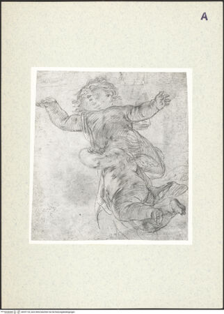 Vorderseite von bh357126_recto