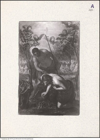 Vorderseite von bh357216_recto