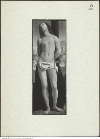 Vorderseite von bh357238_recto