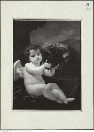 Vorderseite von bh357261_recto