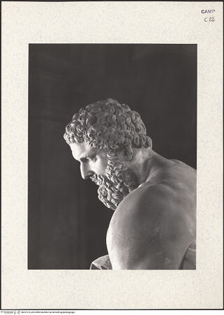 Vorderseite von ICCD [https://www.deutsche-digitale-bibliothek.de/content/lizenzen/rv-ez/] Herkules - Kopf, Profil (von links), bh357373_recto. Foto.