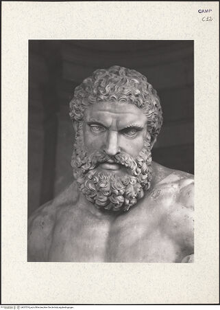 Vorderseite von ICCD [https://www.deutsche-digitale-bibliothek.de/content/lizenzen/rv-ez/] Herkules - Kopf, bh357374_recto. Foto.