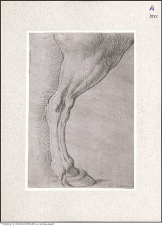 Vorderseite von bh357493_recto