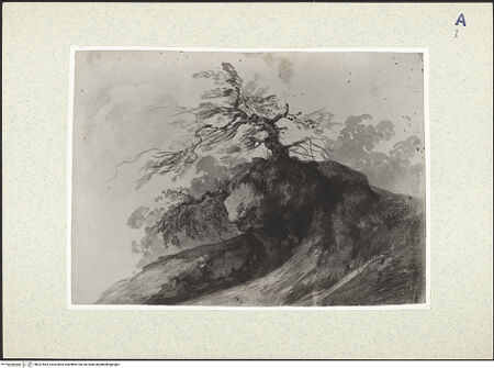 Vorderseite von bh357564_recto