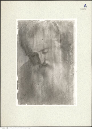 Vorderseite von bh357608_recto