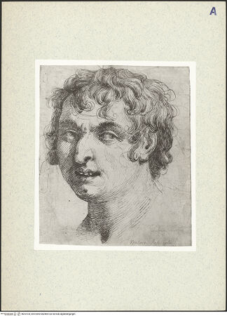 Vorderseite von bh357618_recto