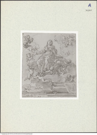 Vorderseite von bh357623_recto