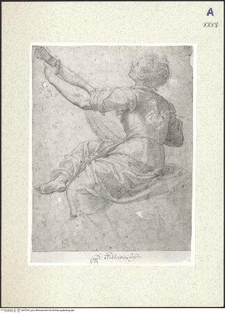 Vorderseite von bh357641_recto