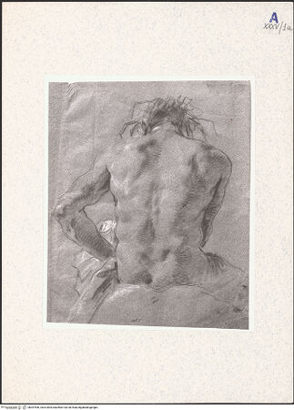 Vorderseite von bh357646_recto