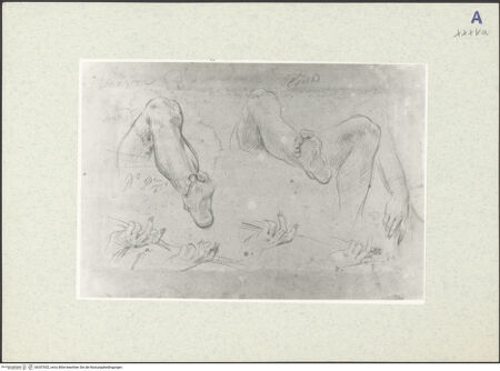 Vorderseite von bh357652_recto