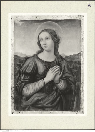 Vorderseite von bh357816_recto