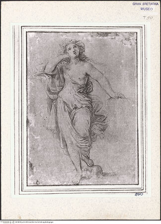 Vorderseite von bh358030_recto