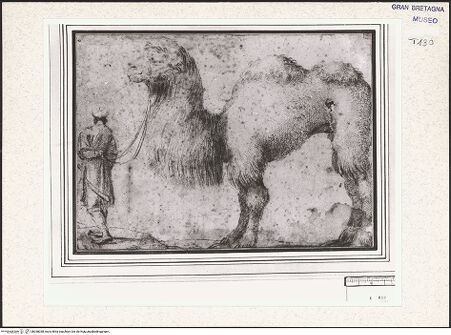 Vorderseite von bh358038_recto