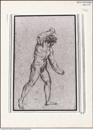 Vorderseite von bh358040_recto