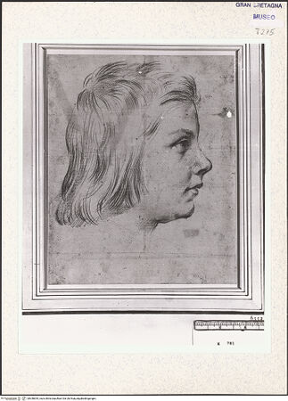 Vorderseite von bh358054_recto