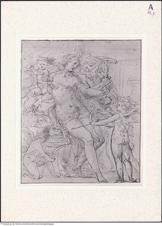 Vorderseite von bh358076_recto