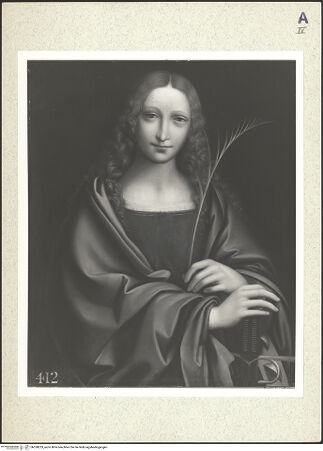 Vorderseite von bh358233_recto