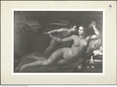 Vorderseite von bh358243_recto