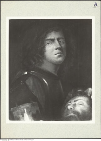 Vorderseite von bh358246_recto