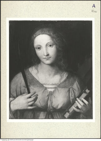 Vorderseite von bh358292_recto