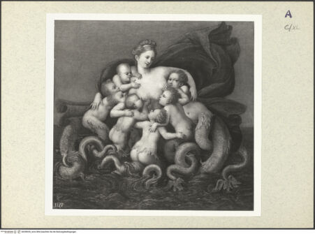 Vorderseite von bh358326_recto