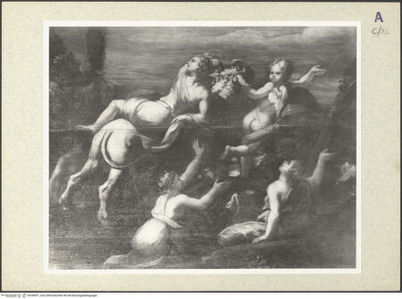 Vorderseite von bh358331_recto