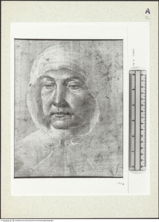 Vorderseite von bh358384_recto