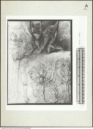 Vorderseite von bh358396_recto