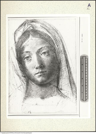 Vorderseite von bh358398_recto