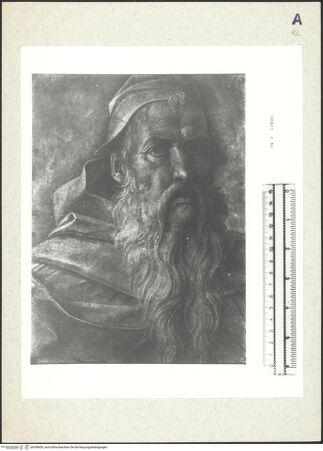 Vorderseite von bh358409_recto