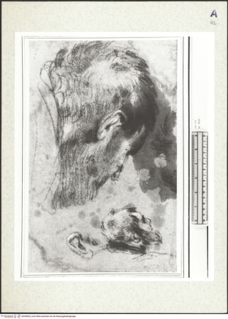 Vorderseite von bh358425_recto