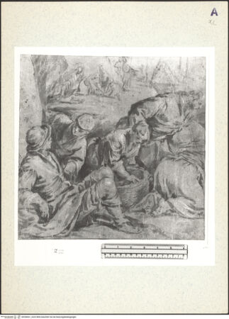 Vorderseite von bh358431_recto