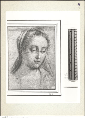 Vorderseite von bh358432_recto