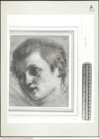 Vorderseite von bh358436_recto