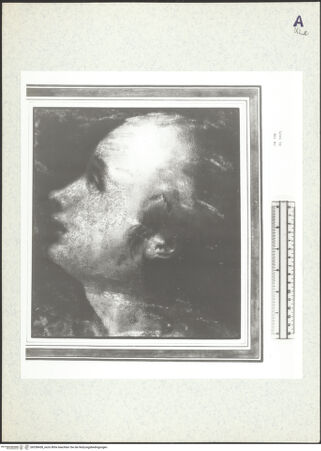 Vorderseite von bh358438_recto