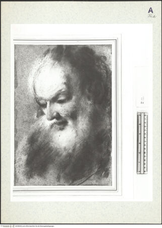 Vorderseite von bh358444_recto