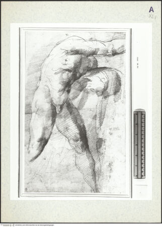 Vorderseite von bh358454_recto