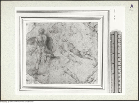 Vorderseite von bh358455_recto