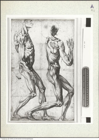 Vorderseite von bh358459_recto