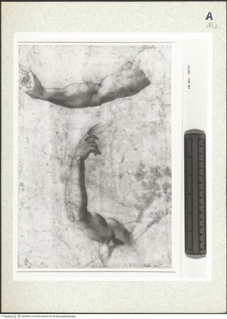 Vorderseite von bh358460_recto