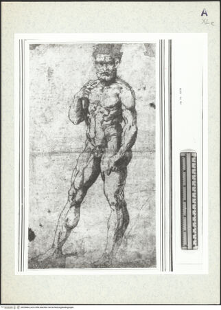 Vorderseite von bh358464_recto