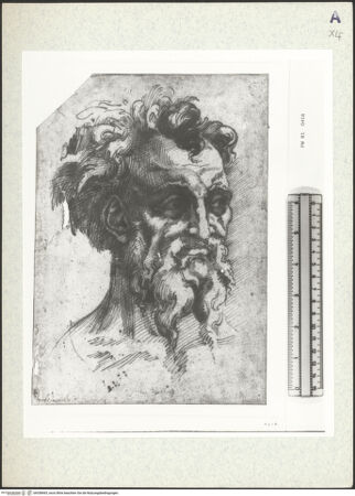 Vorderseite von bh358465_recto