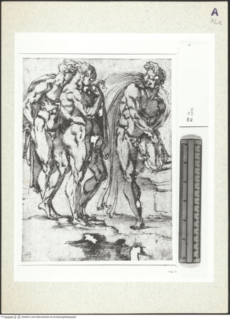 Vorderseite von bh358470_recto