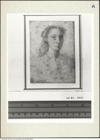 Vorderseite von bh358477_recto