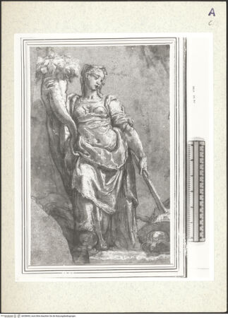 Vorderseite von bh358493_recto