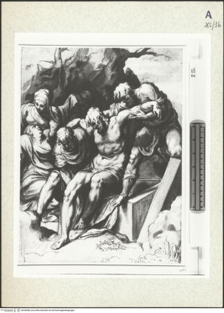 Vorderseite von bh358588_recto