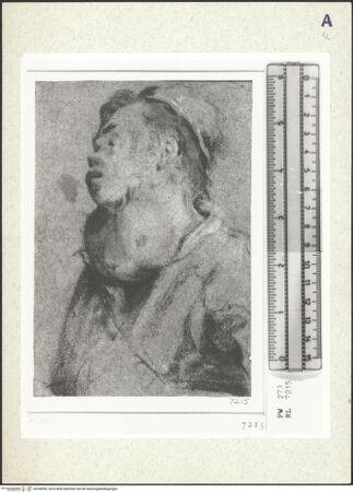 Vorderseite von bh358595_recto